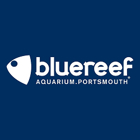 Blue Reef Aquarium Portsmouth