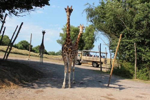 Chessington World of Adventures